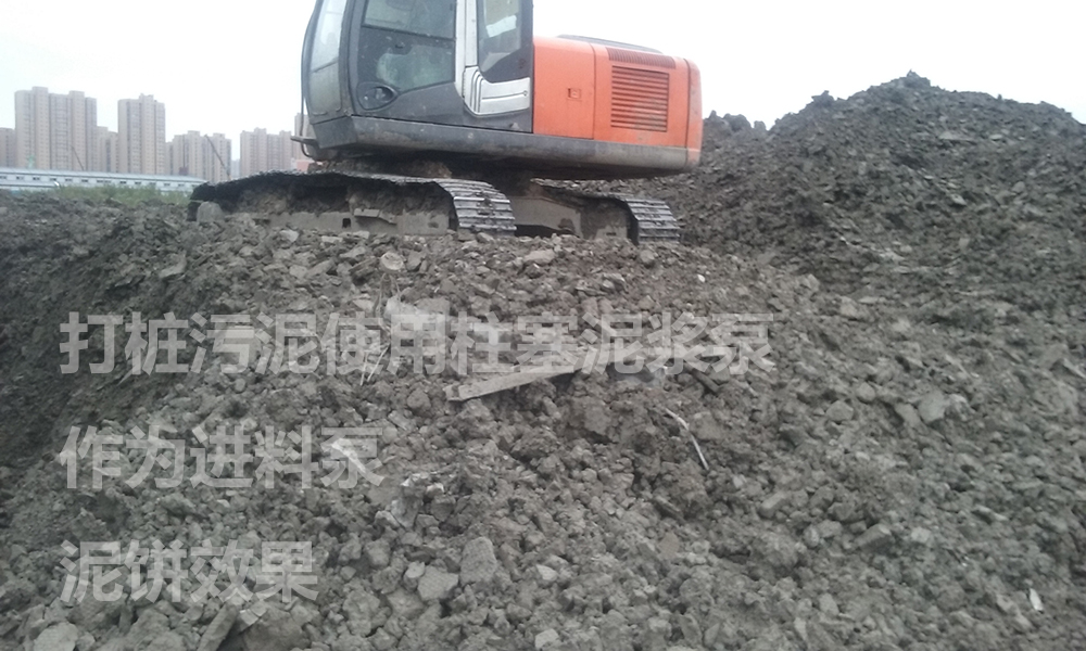 處理后的泥餅2 處理后的泥餅2